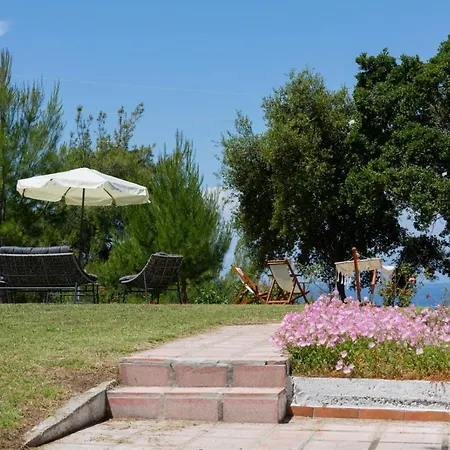 Sani Dream Villa